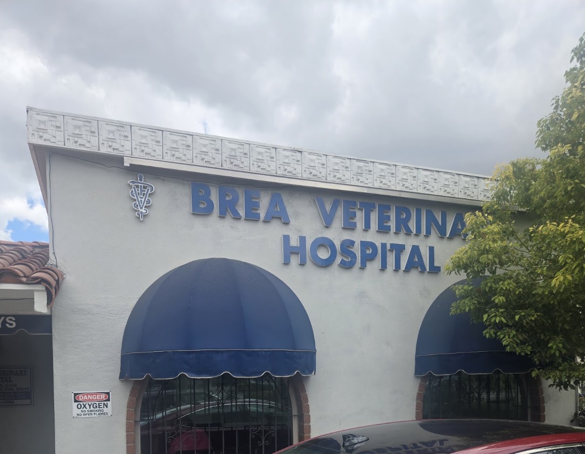 Brea Veterinary Hospital photo 2