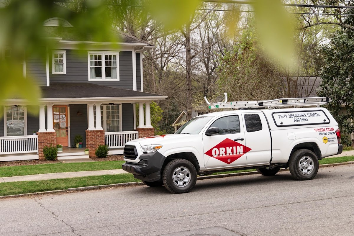 Orkin photo 2