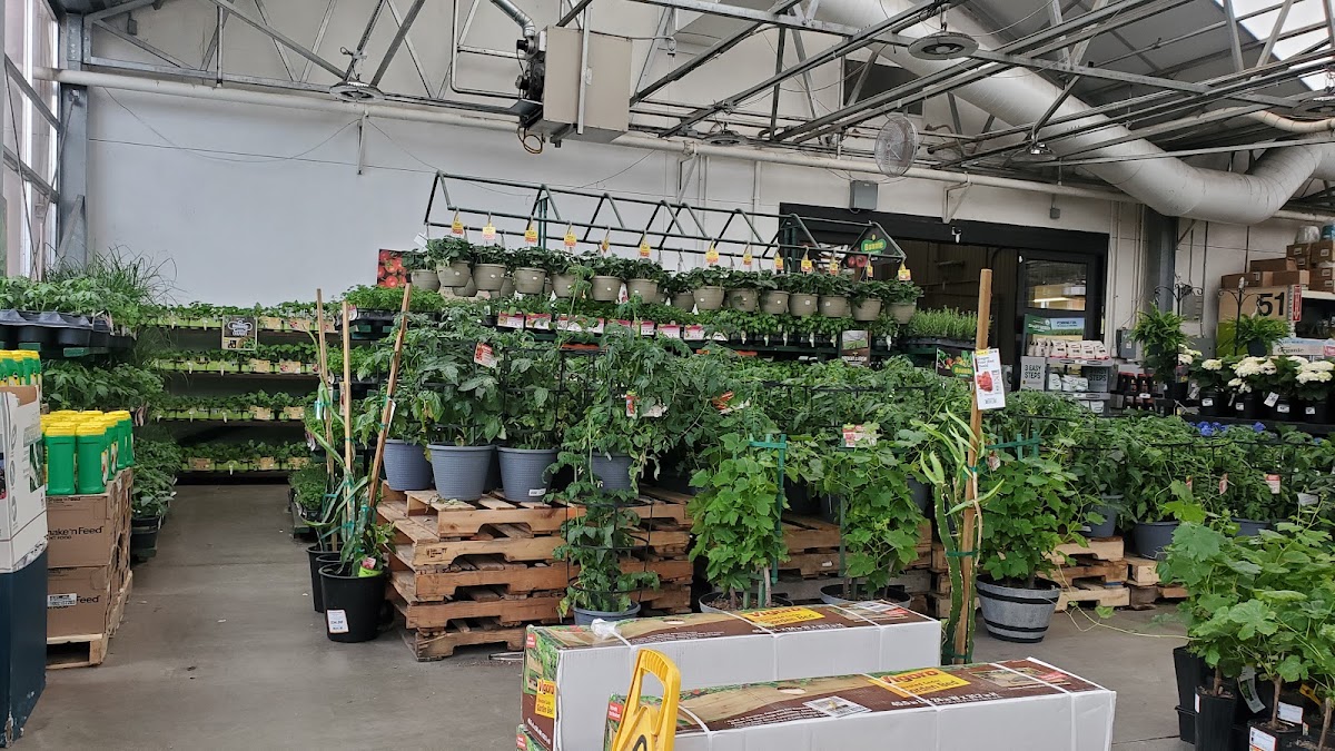 The Home Depot photo 4